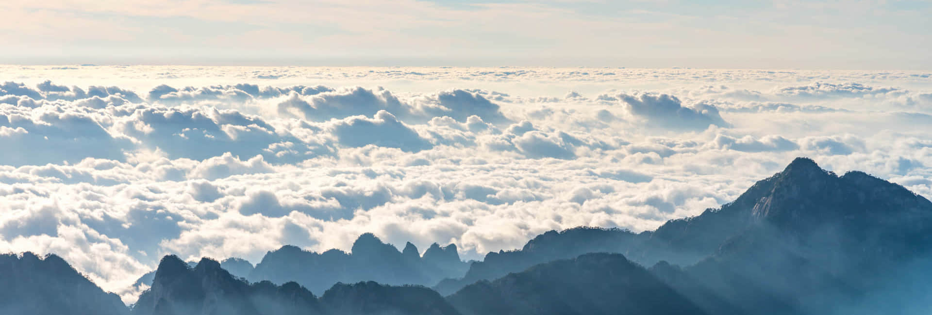 荣耀体育在线登录_荣耀体育（中国）简介